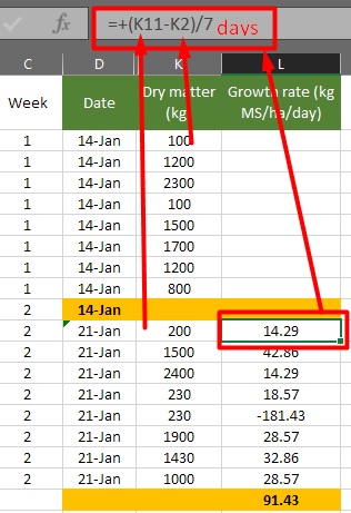 growth rate